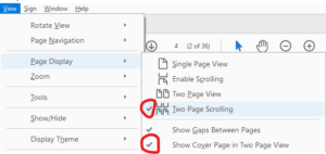 A screenshot from InDesign showing the two boxes checked off