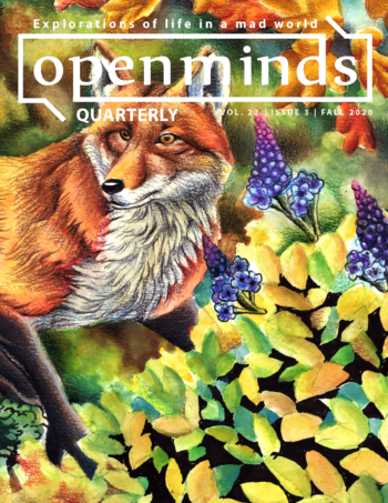 Cover of the Fall 2020 issue of OMQ featuring a fox in a forest